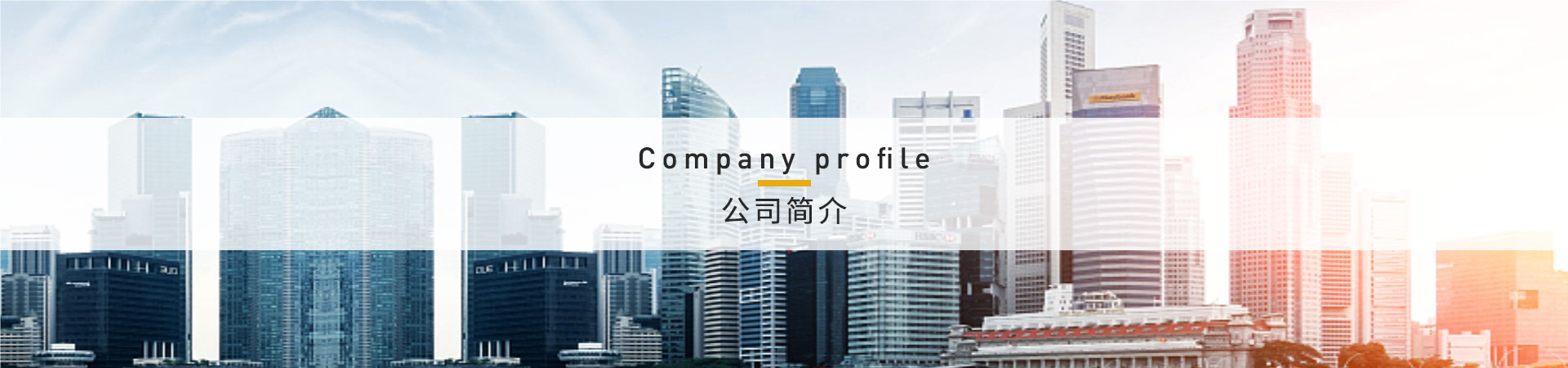 企业简介